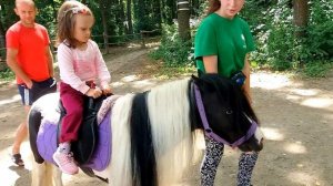 #Фельдман ЭкоПарк. #Riding a pony. Катаемся на #пони. Детский ипподром.