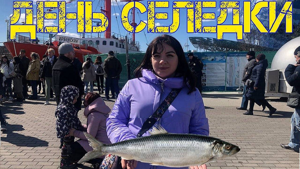 День селедки в Калининграде. 2022 смотреть онлайн