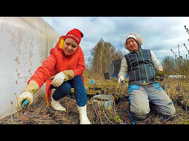 Чуть не украли ребёнка!