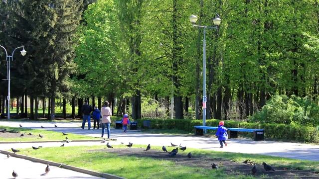 Canon 550d (2 - 29.04-2.05.12) смотреть онлайн