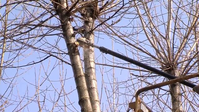 Зеленая парикмахерская смотреть онлайн