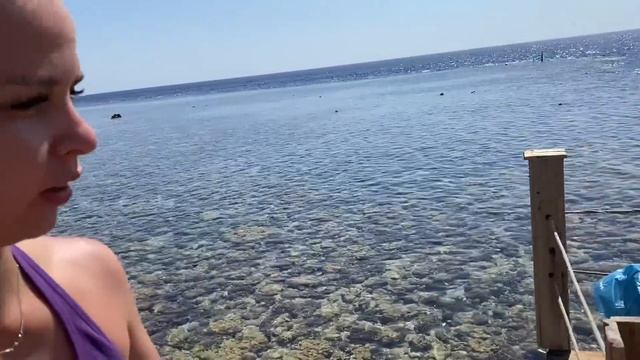 ЕГИПЕТ / САМЫЙ КРАСИВЫЙ КОРАЛЛОВЫЙ РИФ В ШАРМ ЭЛЬ ШЕЙХ / ПЛЯЖ EL FANAR В ЕГИПТЕ смотреть онлайн