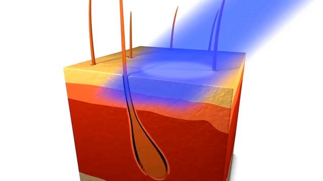 Waldmann Nb UVB смотреть онлайн