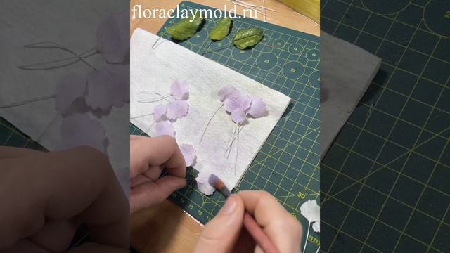 Обзор Мастер-Класса для начинающих «Гортензия». Продолжительность 2 часа. смотреть онлайн