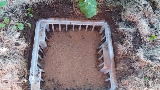 Как посадить тюльпаны. смотреть онлайн