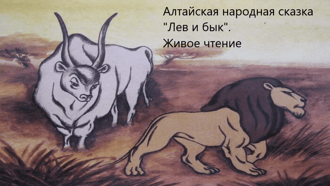 Алтайская народная сказка "Лев и бык". Живое чтение смотреть онлайн