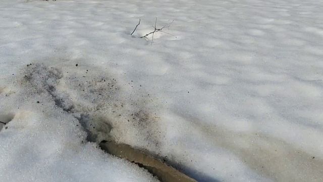 откачка септика,асенезаторская машина больше не нужна смотреть онлайн