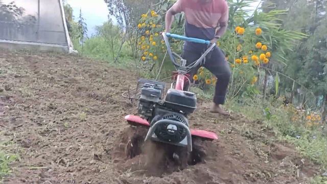 Pubert Maestro 55P power tiller good for cultivation in hill area also смотреть онлайн