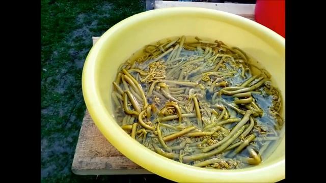 Спорт и Физическая Активность