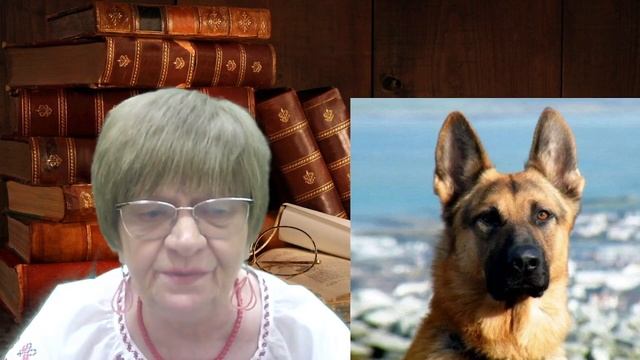 Житейская история: Седина в бороду...Как пёс Верный спас от распада хорошую семью. Реальная драма смотреть онлайн
