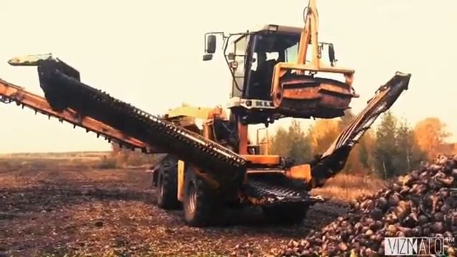 ООО Агрофирма колос Тетюшский район смотреть онлайн