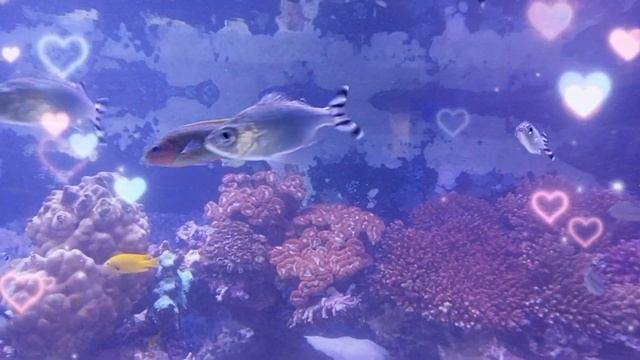 Гарне привітання з Днем ангела Артем. день ангела артема смотреть онлайн