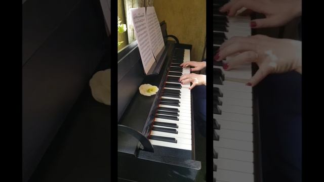 А так "звучит" гобой 😊 Выберем самый лучший тембр для Менуэта Поля Мориа ❤ #красиваямузыка смотреть онлайн