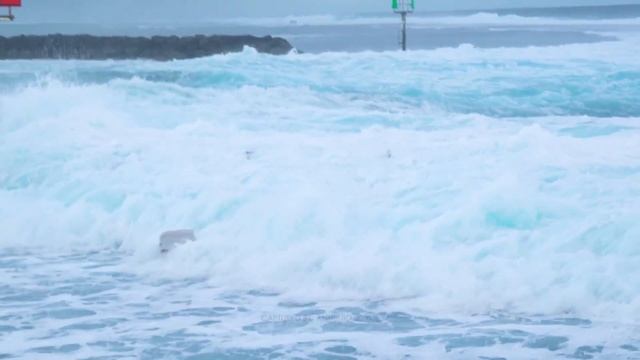 Water Rescue! Outrigger Canoe Capsizes at Hagatna Boat Basin смотреть онлайн