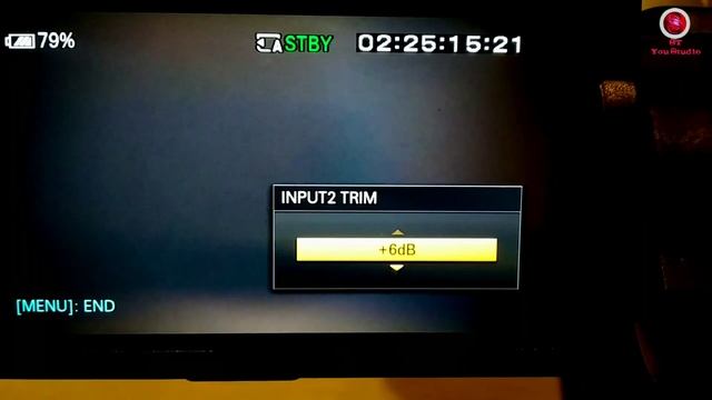 Sony NX100 Audio Gain Settings || Sony nx100 audio trim settings смотреть онлайн