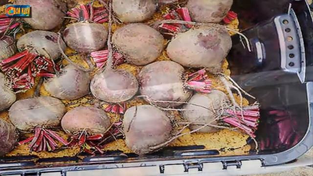 Уборка урожая моркови и свеклы, подготовка их к хранению. смотреть онлайн