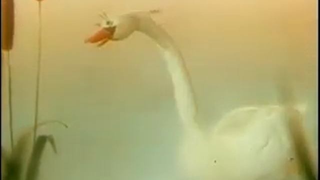 1+ Как щенок учился плавать смотреть онлайн