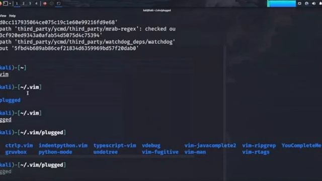VIM IDE for Python, C, CPP, JAVA смотреть онлайн