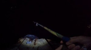 Черноморская Ставридка! Ночная Рыбалка на Черном Море! Снасть Самодур