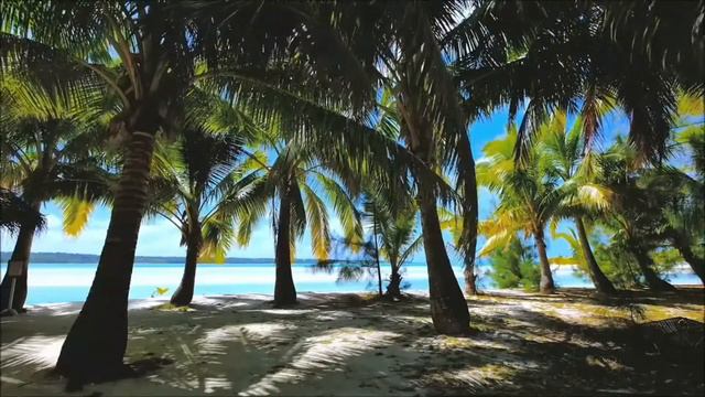 Romantic Saxophone Music, Relaxing Saxophone Music....