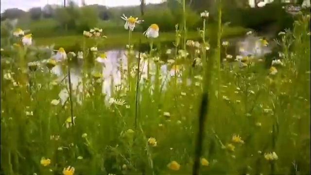 « Я к тебе приду...» смотреть онлайн