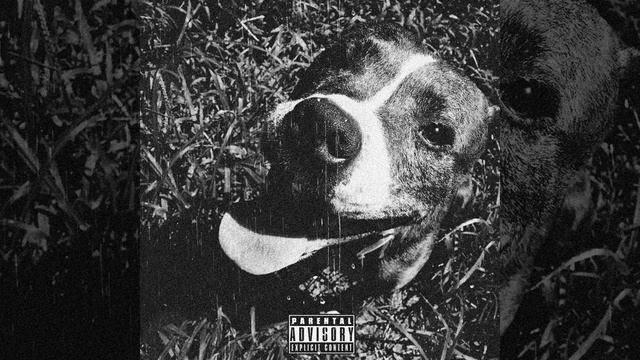 Sampson смотреть онлайн