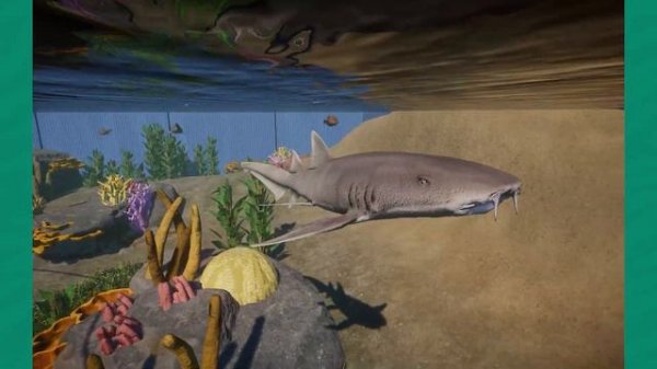 ⭐STELLAR MODS! Planet Zoo Mod Showcase