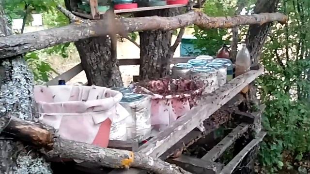 Осенние подкормки пчёл . смотреть онлайн