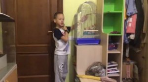 часть 2 как ухаживать за попугаем корелла.