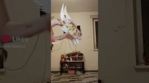 💜~Бумажные драконы из Лайка~💜 #11