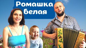 Ромашка белая | Как так можно петь?