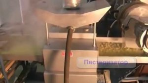 Технологический процесс производства макарон