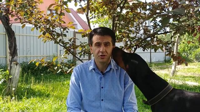 Стоит ли ребенку идти в детский сад, если он еще не говорит? смотреть онлайн