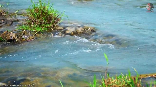 The Best Beautiful Romantic Spanish Guitar Music | Relaxation Sensual Latin Instrumental Music