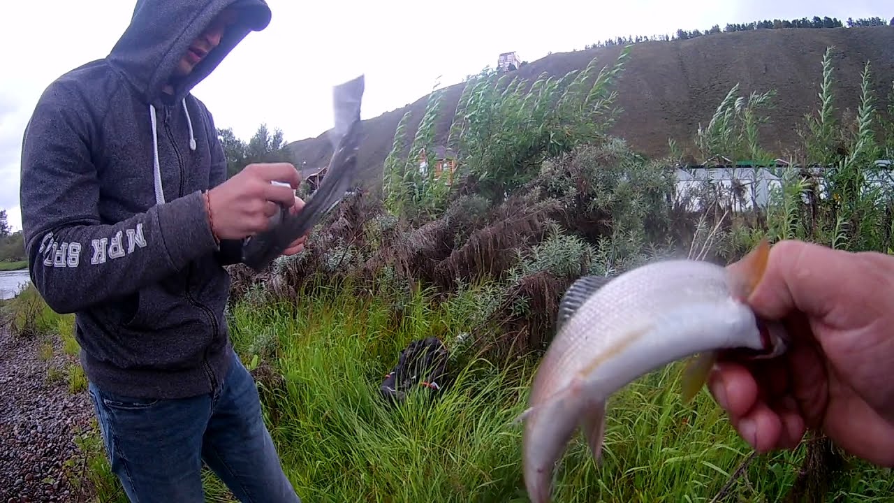 Рыбалка на хариуса прям под окнами Красноярск Октябрьский район смотреть онлайн