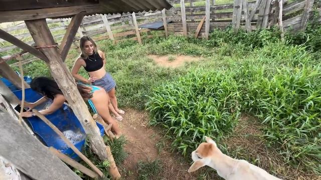 MALU_E_RAFA_DERAM_LEITE_PRO_BEZERRO смотреть онлайн