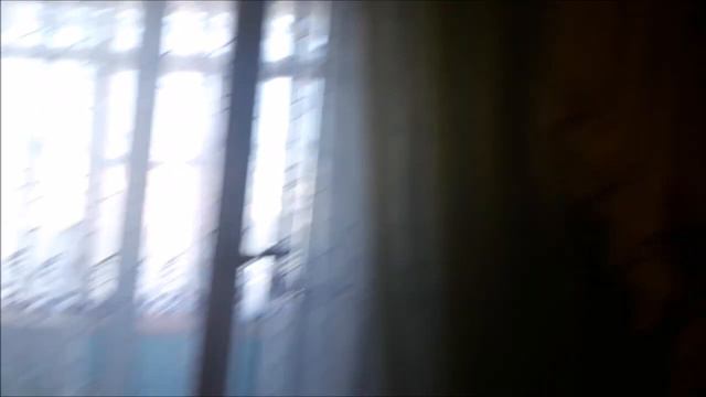 волнистые попугаи пробуем садится на ветку смотреть онлайн