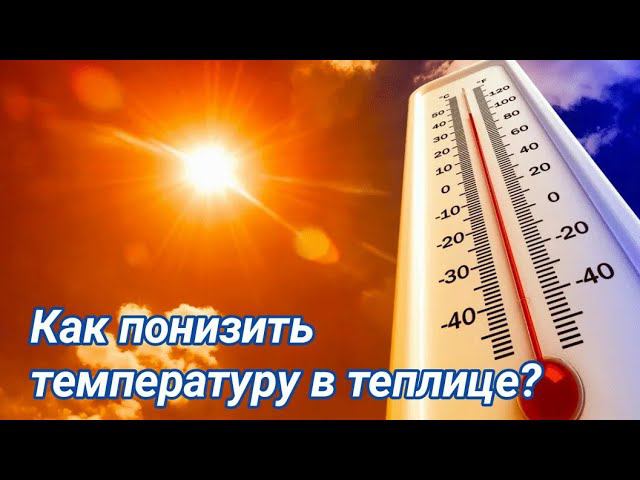 Способы понижения температуры в теплице! Экстренная помощь растениям. смотреть онлайн