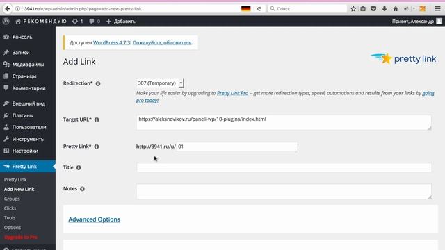Свой сокращатель партнёрских ссылок на WordPress Плагин Pretty Link смотреть онлайн