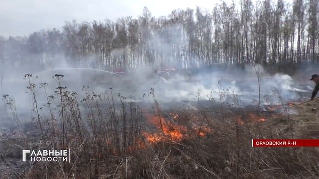 Орловские спасатели потушили условный лесной пожар смотреть онлайн