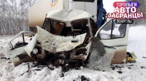 Ёпрст! Январьнутые Торопыги и Водятлы