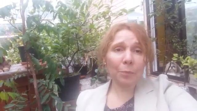 Попугаи Жако. Тоша улетел смотреть онлайн