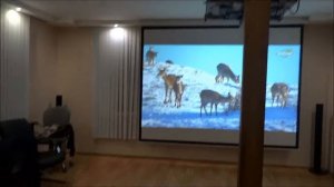 #проектор #экран #кино устанавливаем видеопроектор дома