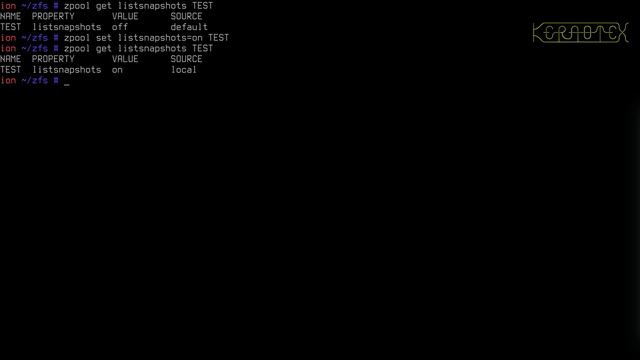Beginner's guide to ZFS. Part 18: Taking Snapshots of Datasets смотреть онлайн