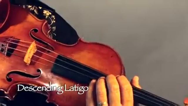 Tango Techniques for Strings LATIGO смотреть онлайн