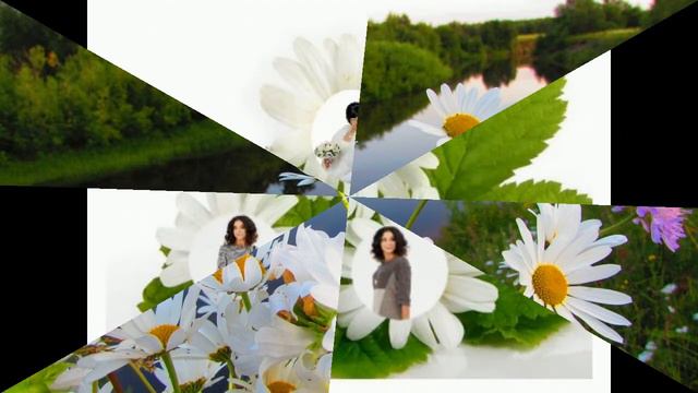 Ромашковое поле смотреть онлайн