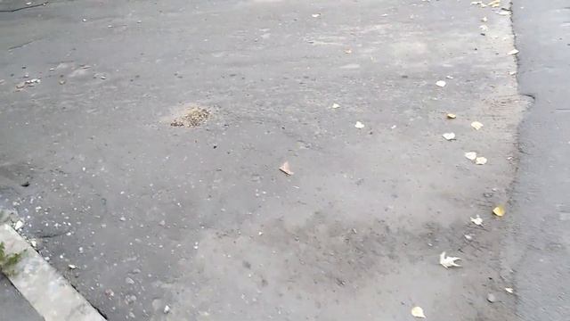 Возле моего дома раскидывают стекло что бы собака резала лапы смотреть онлайн