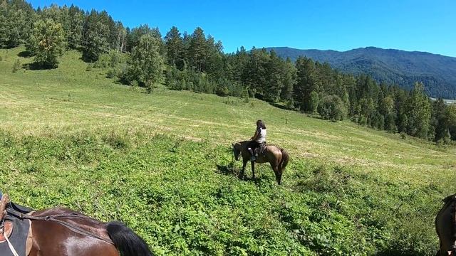 Алтай.Манжерок смотреть онлайн