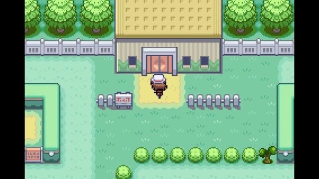 How I Survived the Most INSANE Pokemon Fusion Rom Hack смотреть онлайн
