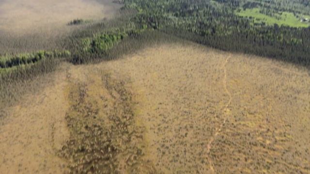 Болото Большой Мох смотреть онлайн